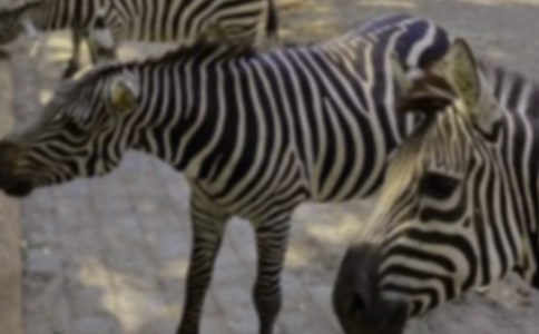 ���R���ϵ�`����