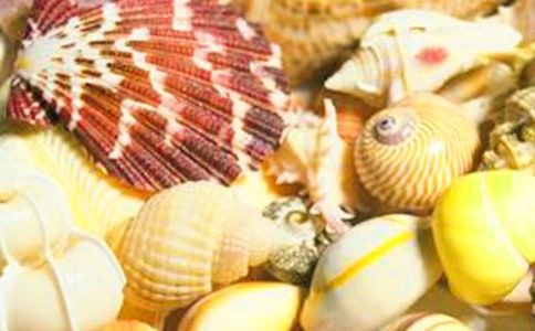 ��ؐ�������꼉����