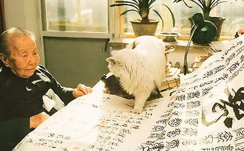 ���ĵ��Z�28�l