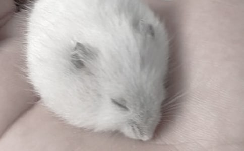 ���x�}�������400����ƪ