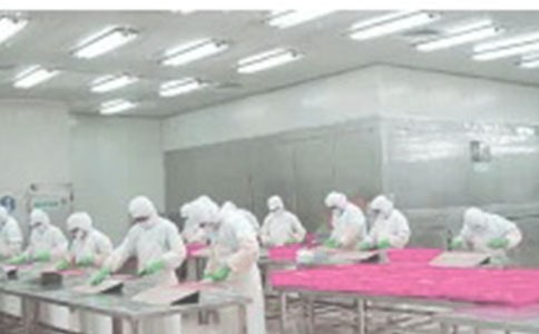 ���a܇�g��ȫ�ĵ�100��