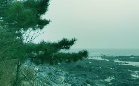 ���L(f��ng)�������Ĵ�ȫ��15ƪ��