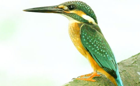 ���B�̰����ĺϼ���ƪ