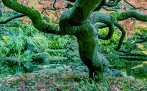 ��С���c��䡷�x���600��