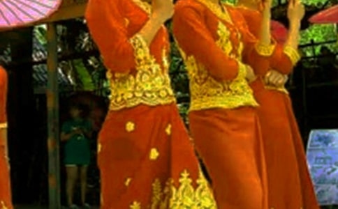 ���P(gu��n)��������L(f��ng)���׵�����4ƪ