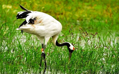 �������ĵ���Q���̰�