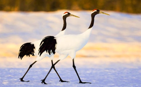 �������ĵ���Q����(y��u)��̰�