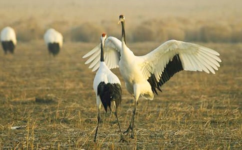 ���x����Q����300�֣�ͨ��25ƪ��