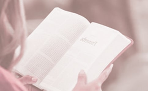 ���������x���ջ�ӷ���