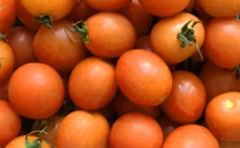 ������̫ꖡ�����(x��)�}����