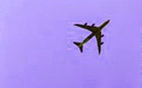 ���w�C�Լ��w�؁�D��