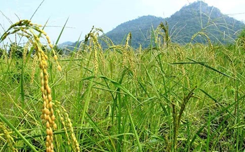 ���^�����r���Ĵ��졷���x��У����x6ƪ��