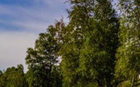 ��ȥ����(l��i)�L(f��ng)�����f