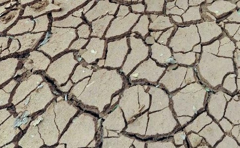 ���ϸɺ��ĸ���800������