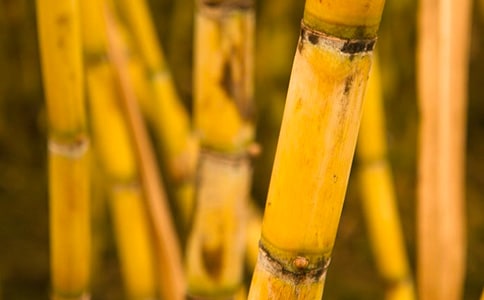 ���x��������ļ���7ƪ