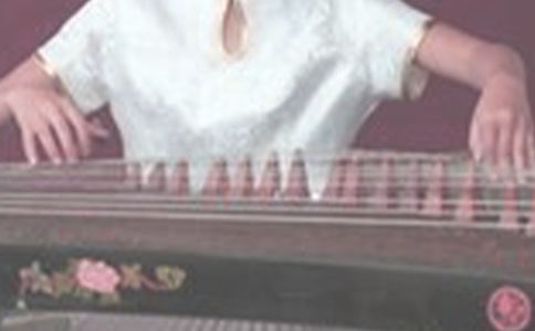 古箏暑期活動(dòng)方案(精選5篇)