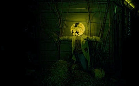 ����ð�U(xi��n)����