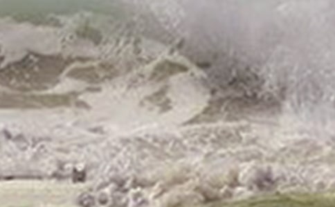 給海嘯災(zāi)民的一封信2篇