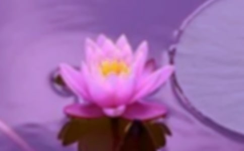 ���P(gu��n)���C����300�ֺϼ�8ƪ