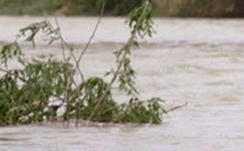 精選洪水作文400字四篇