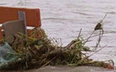 ���x��ˮ����4ƪ