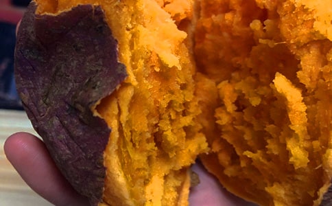 ���P�t����Ъ���Z