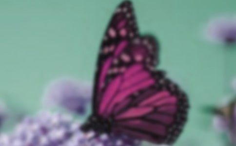 �����^�ٵĬF(xi��n)��Ԋ��