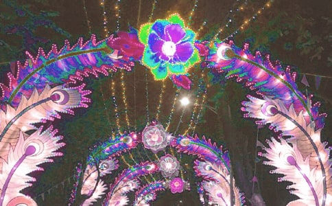 ������g(sh��)���(d��ng)���໨��