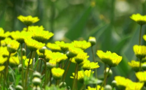 2021�곣�û��䃞(y��u)�������\��40�l