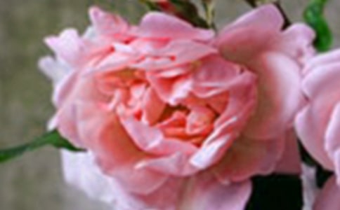 2022�껨�䃞(y��u)�����Ӻϼ�55�l