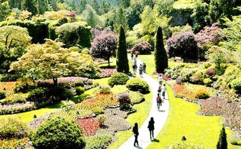 �󻨈@����600�֣����x37ƪ��