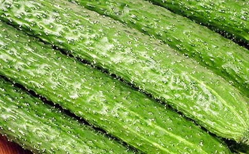 [��(y��u)��]�S�ϵ���������