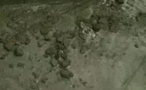 ��������؛��ͬ(14ƪ)