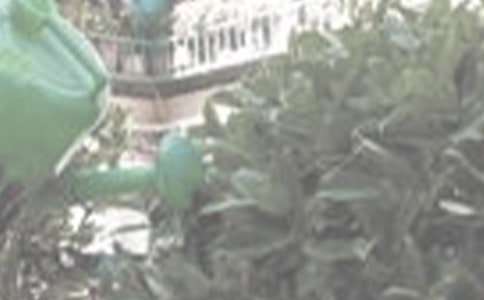 ��������600�֣����x25ƪ��