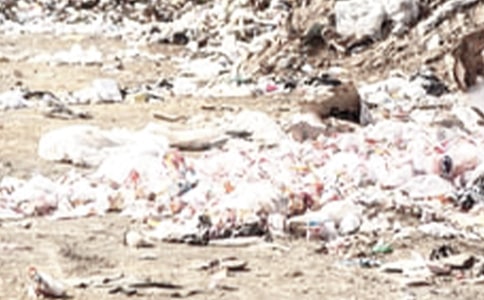 ��Ո���y��������750������ - С�W���D����