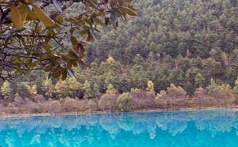 ���������ųǌ�(d��o)���~�ϼ�15ƪ