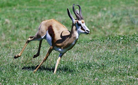 ������ľ����x��