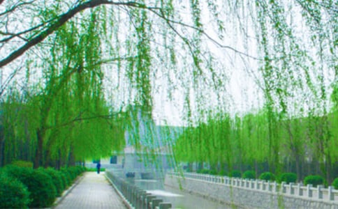 �n���������˵�ͬ������(x��)�}