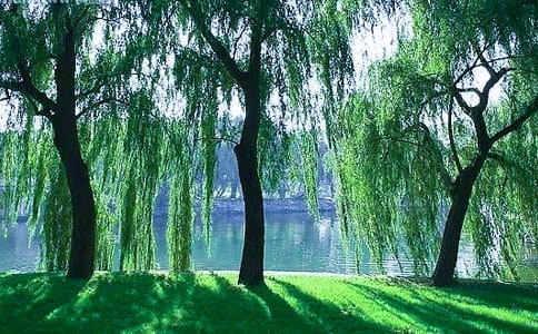 �茑�����Ԋ��220��