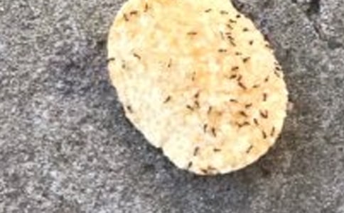 [��(y��u)��]�^��Λρ?zh��n)��?1ƪ