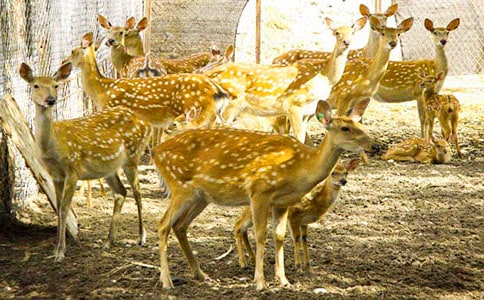 ÷��¹����12ƪ