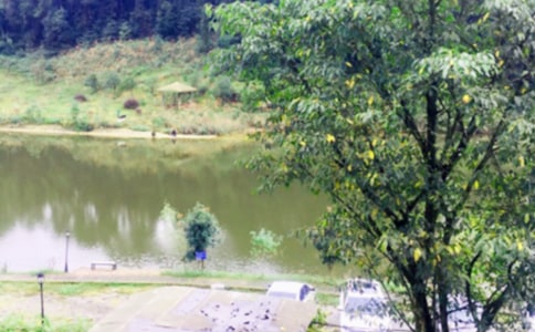 �r(n��ng)�Ҙ�(l��)�(xi��ng)ĿӋ(j��)����(sh��)��ͨ��15ƪ��