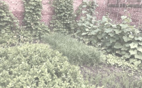 �r(n��ng)�����S��ُ�N��ͬ