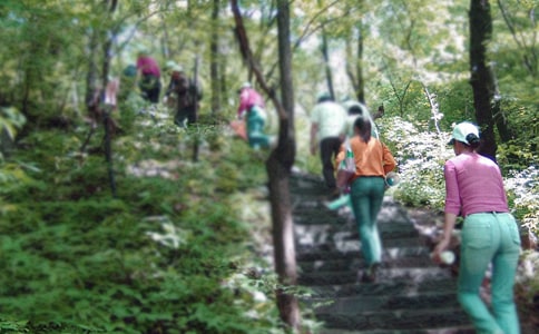 ��ɽ�ĸ���