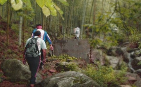 ��ɽ������15ƪ[��Ʒ]