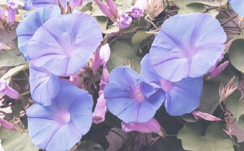 ������ԁ���������