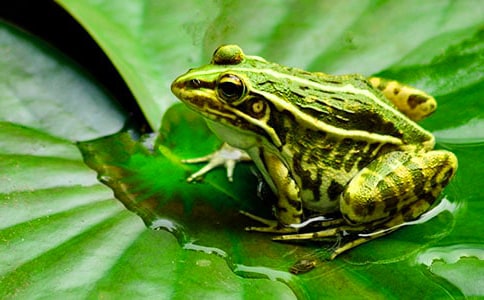 С���Α򻯴�����옷��С���̰ܽ���ͨ��10ƪ��