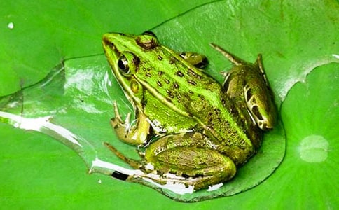 ��С���ܡ��n��