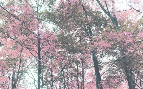 �＾��������ӵ�����