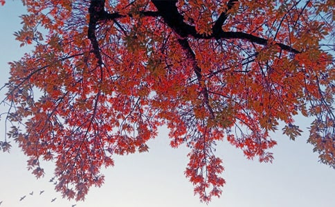 �����յǅǹ��_�����h(yu��n)����ԭ�ķ��g���p��